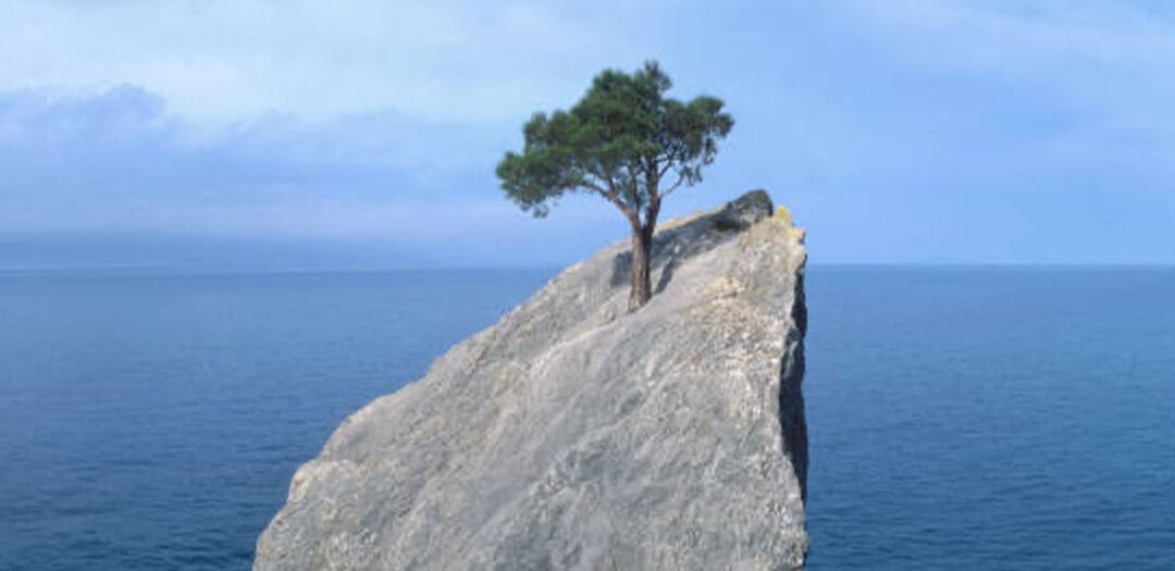 Bouncing Back with Faith and Resilience | Finding Hope in Setbacks