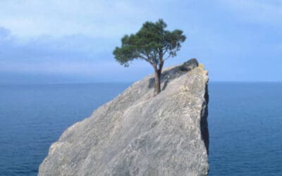 Bouncing Back with Faith and Resilience | Finding Hope in Setbacks